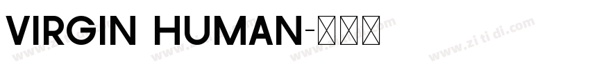Virgin human字体转换